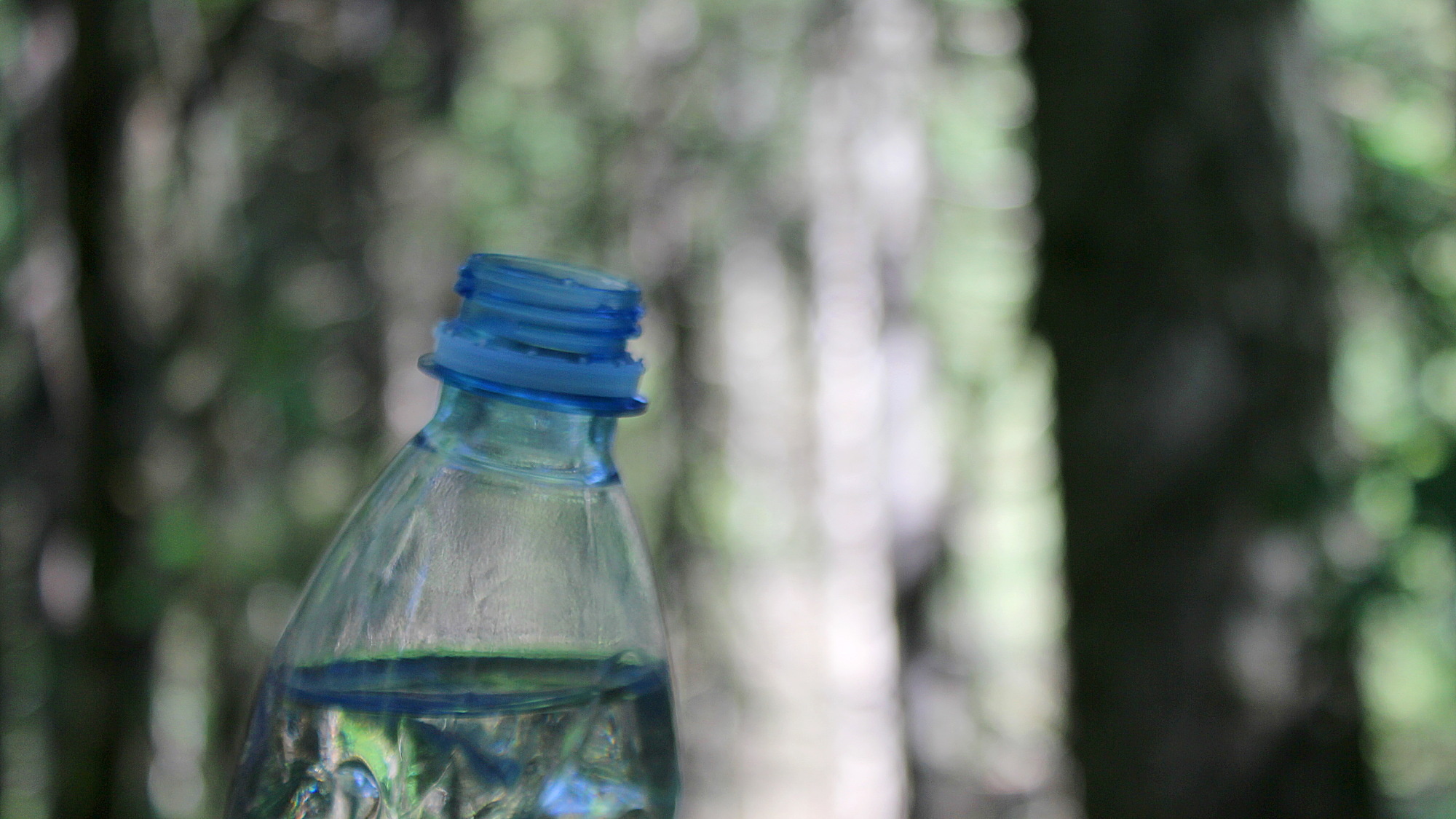 An open bottle of water with a blurry forest background.